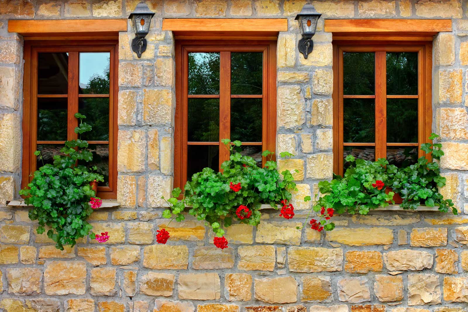 Timber Sash Windows Wimbledon