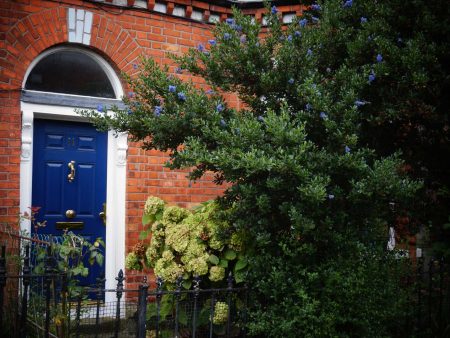 Blue front door set in a red brick house with an arched window above, partially framed by leafy green plants and flowering shrubs behind a black iron fence.